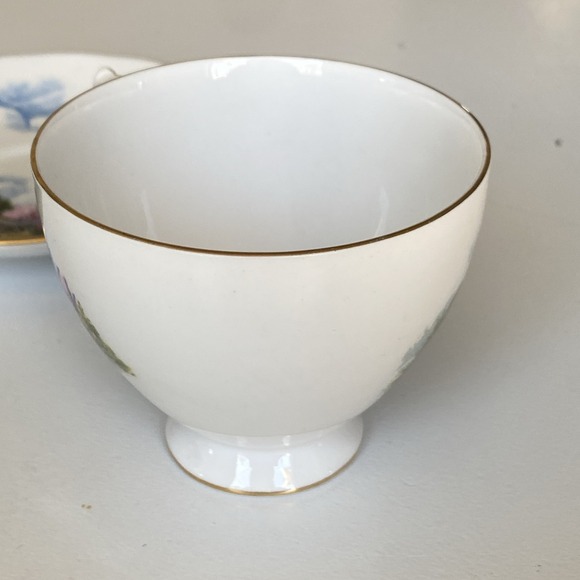 Vintage Royal Vale Teacup & Saucer Cottage Scene & Gardens - Bone China England - Picture 6 of 15